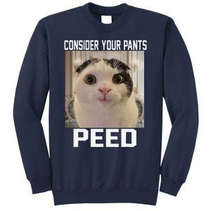 Consider Your Pants Peed Silly Cat Meme Sweatshirt