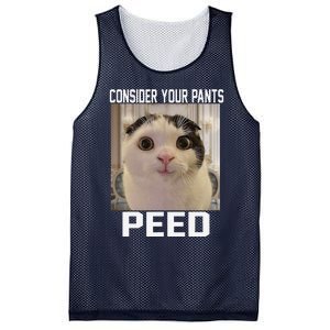 Consider Your Pants Peed Silly Cat Meme Mesh Reversible Basketball Jersey Tank