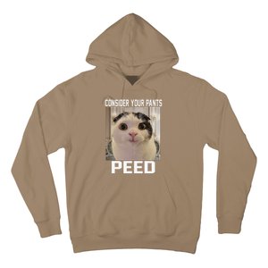 Consider Your Pants Peed Silly Cat Meme Hoodie