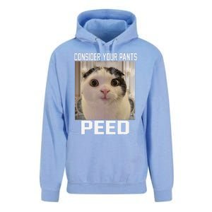 Consider Your Pants Peed Silly Cat Meme Unisex Surf Hoodie