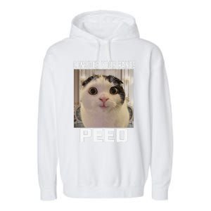 Consider Your Pants Peed Silly Cat Meme Garment-Dyed Fleece Hoodie