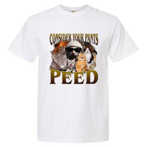 Consider Your Pants Peed Silly Cat Meme Garment-Dyed Heavyweight T-Shirt