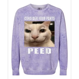 Consider Your Pants Peed Cat Funny Colorblast Crewneck Sweatshirt