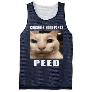 Consider Your Pants Peed Cat Funny Mesh Reversible Basketball Jersey Tank