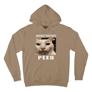 Consider Your Pants Peed Cat Funny Hoodie