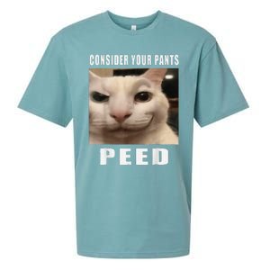 Consider Your Pants Peed Cat Funny Sueded Cloud Jersey T-Shirt