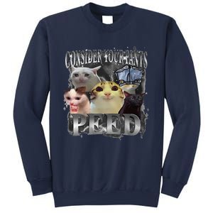 Consider Your Pants Peed Meme Silly Cat Go Hard Cat Lover Sweatshirt