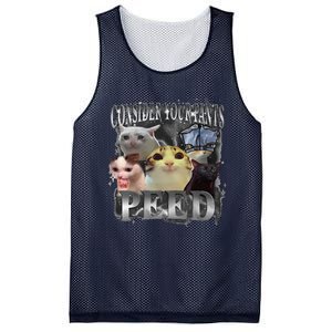 Consider Your Pants Peed Meme Silly Cat Go Hard Cat Lover Mesh Reversible Basketball Jersey Tank