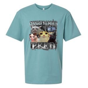 Consider Your Pants Peed Meme Silly Cat Go Hard Cat Lover Sueded Cloud Jersey T-Shirt