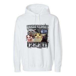 Consider Your Pants Peed Meme Silly Cat Go Hard Cat Lover Garment-Dyed Fleece Hoodie