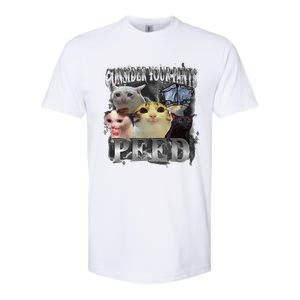 Consider Your Pants Peed Meme Silly Cat Go Hard Cat Lover Softstyle CVC T-Shirt