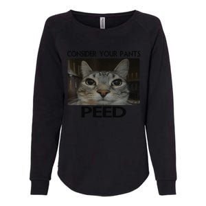 Consider Your Pants Peed Cat Funny Silly Cat Meme Womens California Wash Sweatshirt