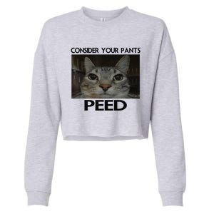 Consider Your Pants Peed Cat Funny Silly Cat Meme Cropped Pullover Crew