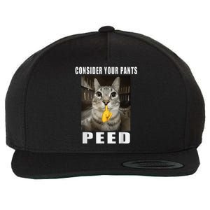 Consider Your Pants Peed Silly Meme Wool Snapback Cap