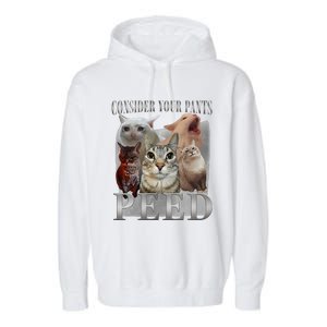 Consider Your Pants Peed Funny Weird Silly Cat Meme Garment-Dyed Fleece Hoodie