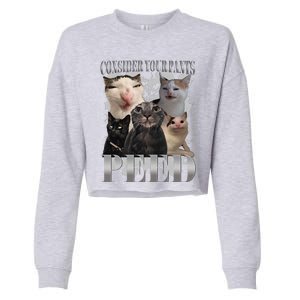 Consider Your Pants Peed Funny Weird Silly Cat Meme Cropped Pullover Crew