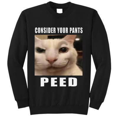 Consider Your Pants Peed Cat Funny Sweatshirt