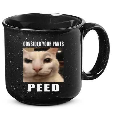 Consider Your Pants Peed Cat Funny 15oz Campfire Ceramic Mug