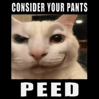 Consider Your Pants Peed Cat Funny Flat Bill Trucker Hat