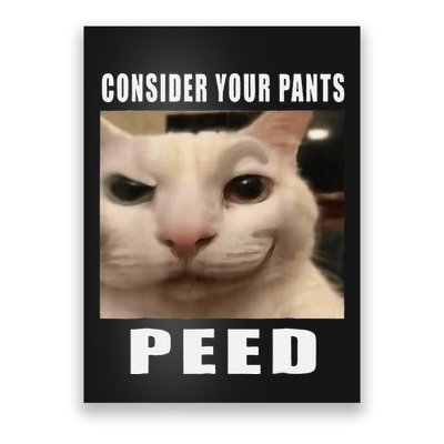 Consider Your Pants Peed Cat Funny Poster