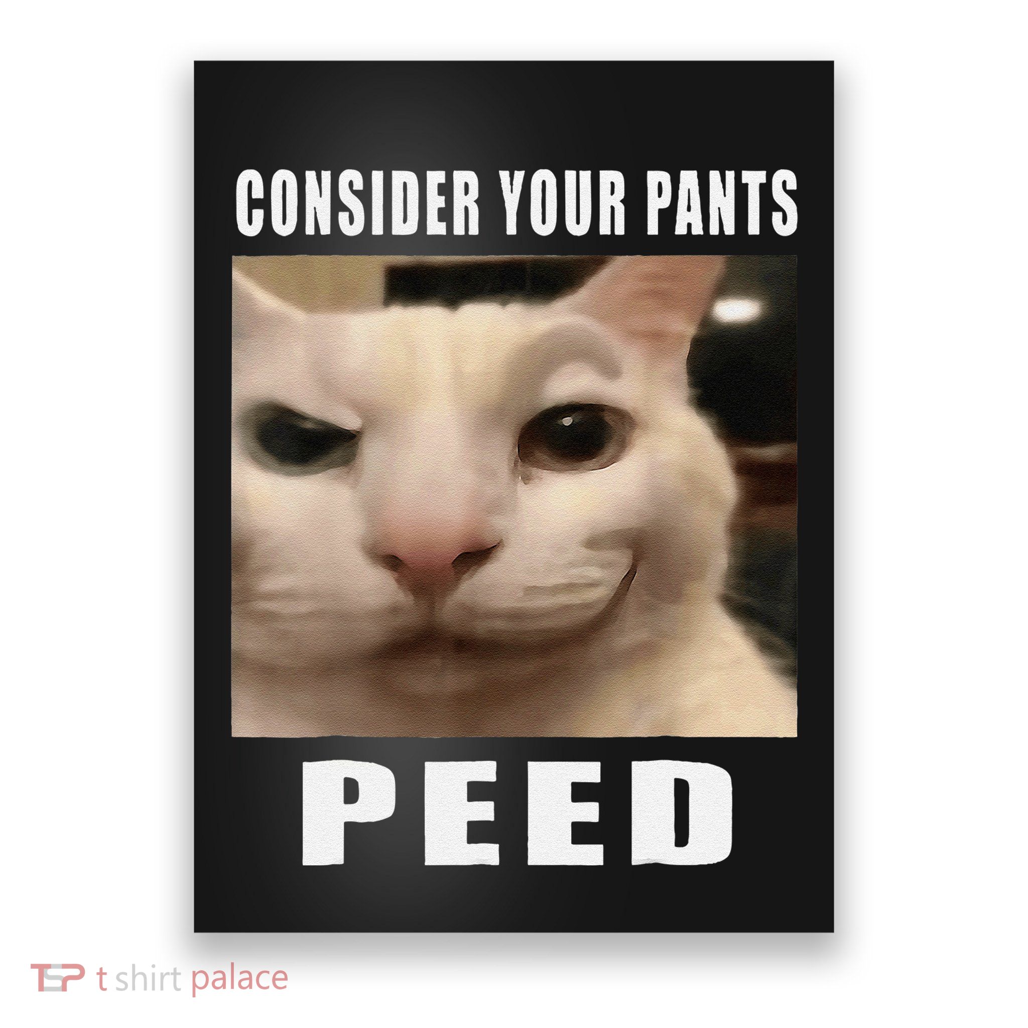 Consider Your Pants Peed Cat Funny Poster