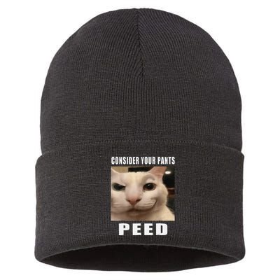 Consider Your Pants Peed Cat Funny Sustainable Knit Beanie