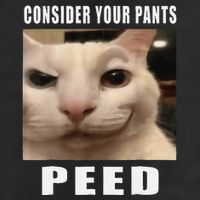 Consider Your Pants Peed Cat Funny Golf Towel