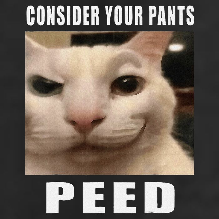 Consider Your Pants Peed Cat Funny Golf Towel