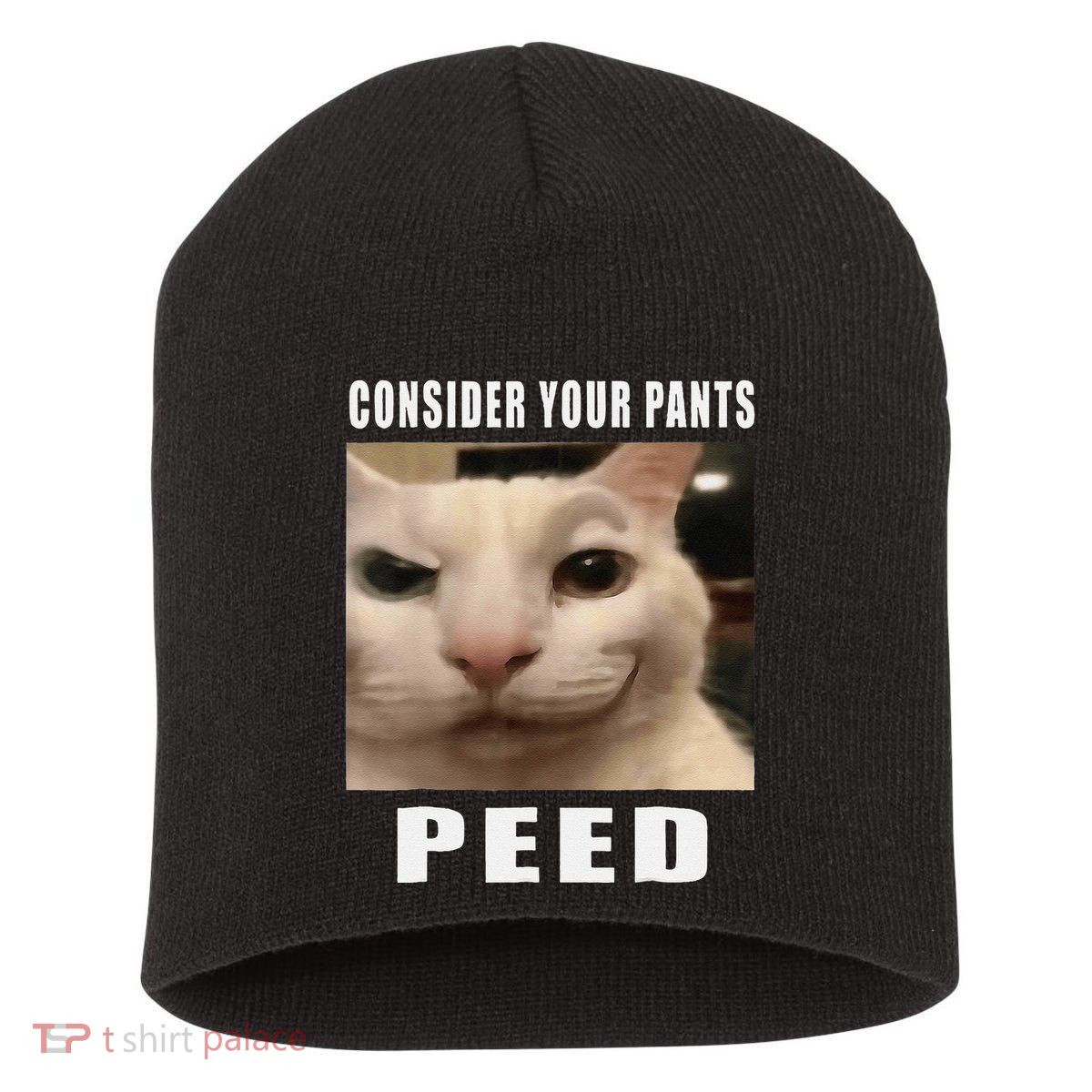 Consider Your Pants Peed Cat Funny Short Acrylic Beanie