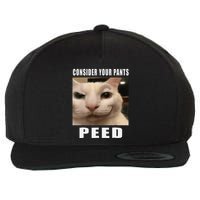 Consider Your Pants Peed Cat Funny Wool Snapback Cap