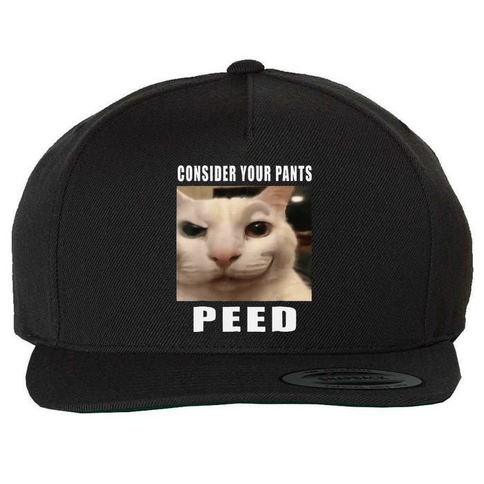 Consider Your Pants Peed Cat Funny Wool Snapback Cap