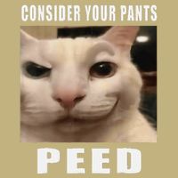 Consider Your Pants Peed Cat Funny Sustainable Beanie