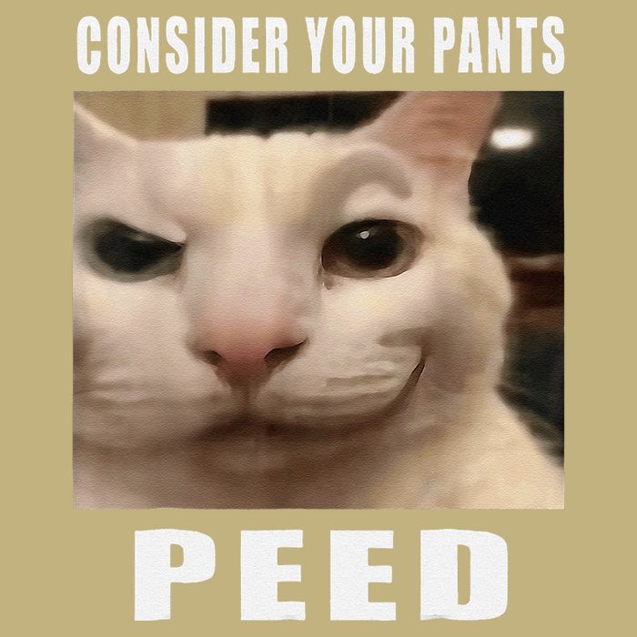 Consider Your Pants Peed Cat Funny Sustainable Beanie