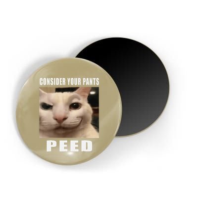 Consider Your Pants Peed Cat Funny Magnet