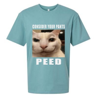 Consider Your Pants Peed Cat Funny Sueded Cloud Jersey T-Shirt