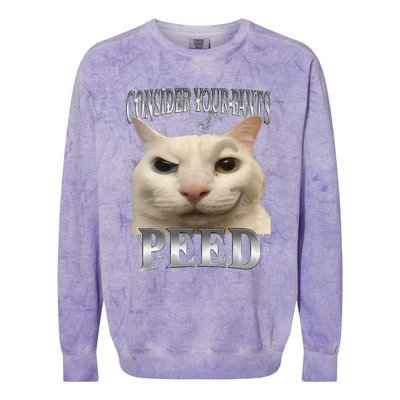 Consider Your Pants Peed Silly Cat Meme Colorblast Crewneck Sweatshirt