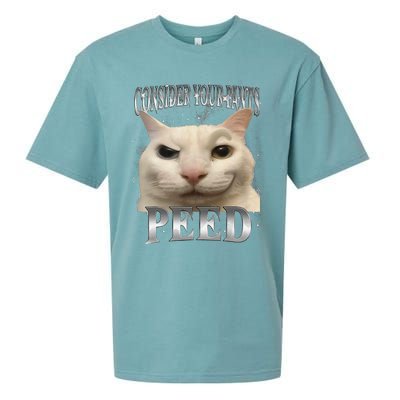 Consider Your Pants Peed Silly Cat Meme Sueded Cloud Jersey T-Shirt