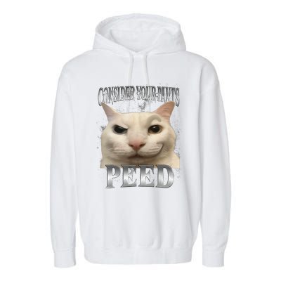 Consider Your Pants Peed Silly Cat Meme Garment-Dyed Fleece Hoodie