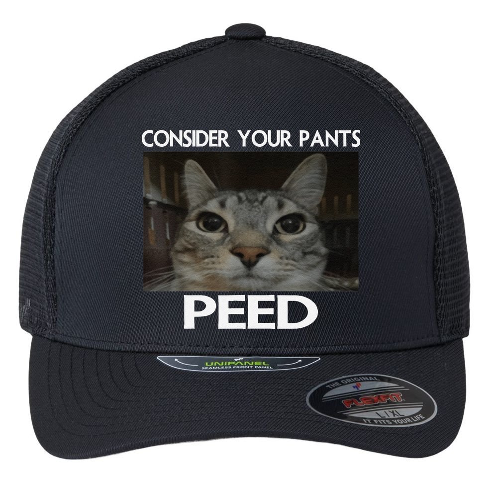 Consider Your Pants Peed Cat Funny Silly Cat Meme Flexfit Unipanel Trucker Cap