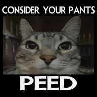 Consider Your Pants Peed Cat Funny Silly Cat Meme Backpack