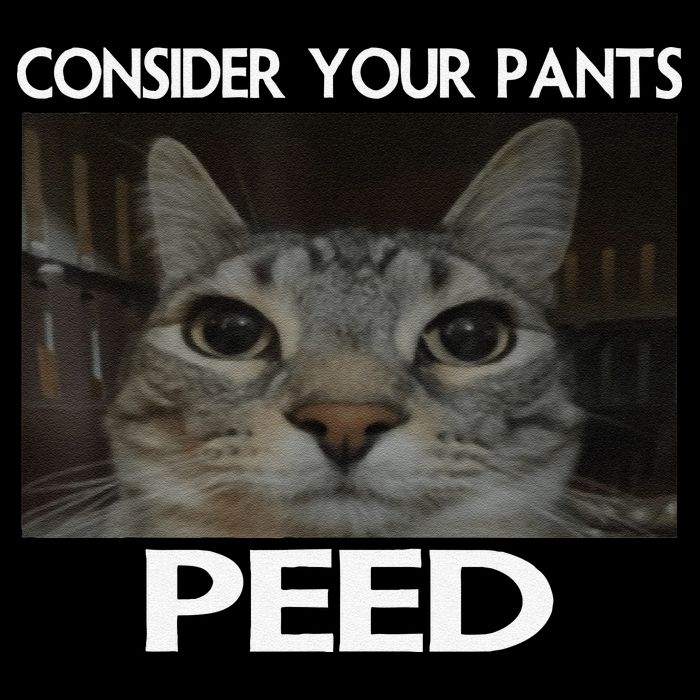 Consider Your Pants Peed Cat Funny Silly Cat Meme Backpack