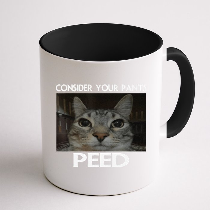 Consider Your Pants Peed Cat Funny Silly Cat Meme Mug