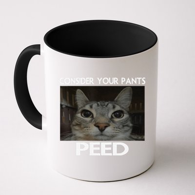 Consider Your Pants Peed Cat Funny Silly Cat Meme Mug