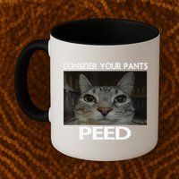 Consider Your Pants Peed Cat Funny Silly Cat Meme Mug