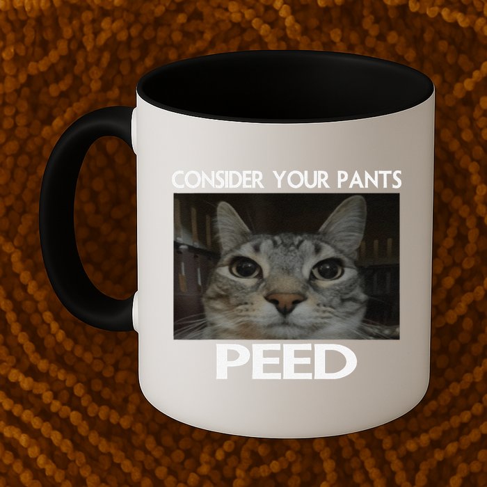 Consider Your Pants Peed Cat Funny Silly Cat Meme Mug