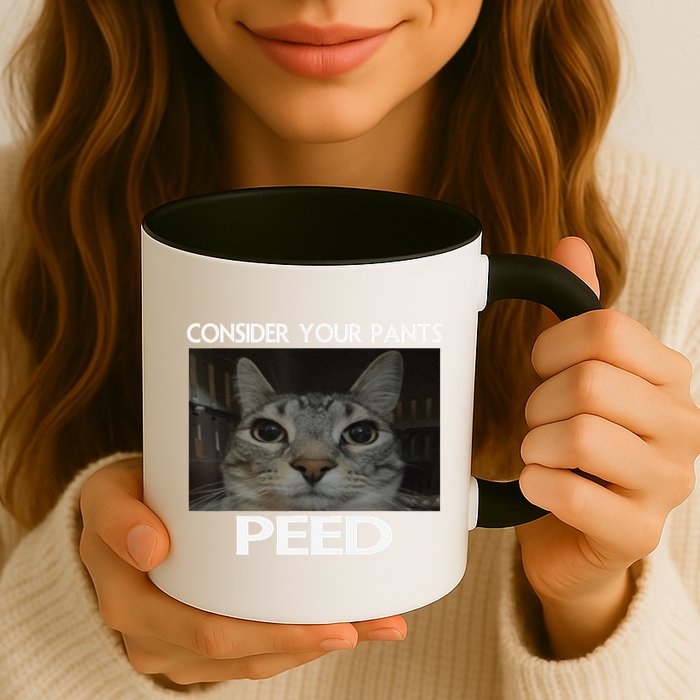 Consider Your Pants Peed Cat Funny Silly Cat Meme Mug