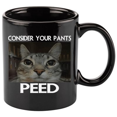 Consider Your Pants Peed Cat Funny Silly Cat Meme 11oz C Handle Ceramic Mug