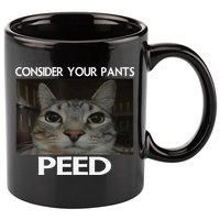 Consider Your Pants Peed Cat Funny Silly Cat Meme 11oz C Handle Ceramic Mug