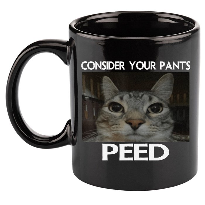 Consider Your Pants Peed Cat Funny Silly Cat Meme 11oz C Handle Ceramic Mug