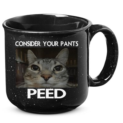 Consider Your Pants Peed Cat Funny Silly Cat Meme 15oz Campfire Ceramic Mug